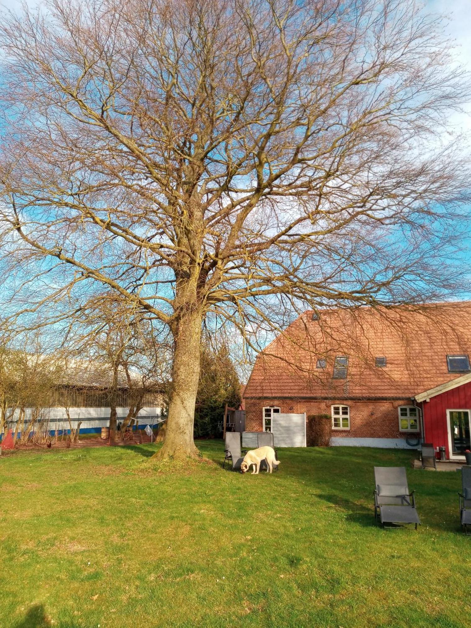 Hotelpension Pfarrhaus Alt Schwerin Luaran gambar